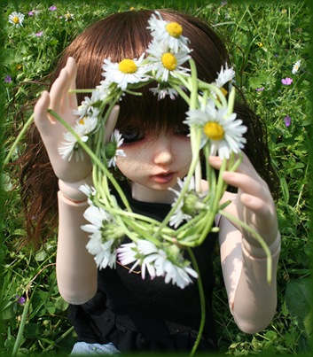 girlsdoll008