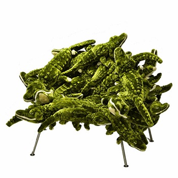 alligator480-1