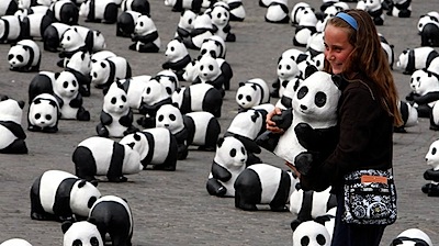 pandamamire.jpg