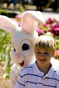 horror_bunnies38.jpg