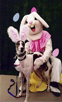 horror_bunnies44.jpg