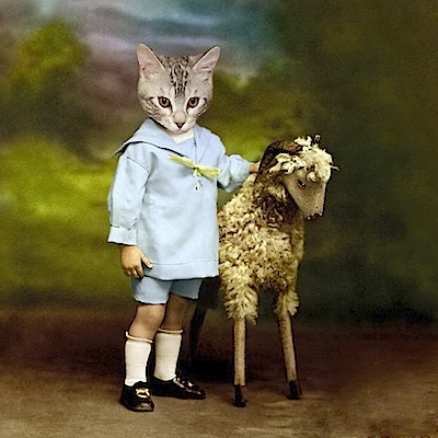 animalscolla01.jpg