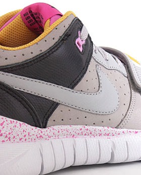 trainerdunklow3