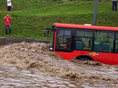 suibotucar1.jpg
