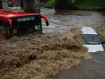 suibotucar7.jpg