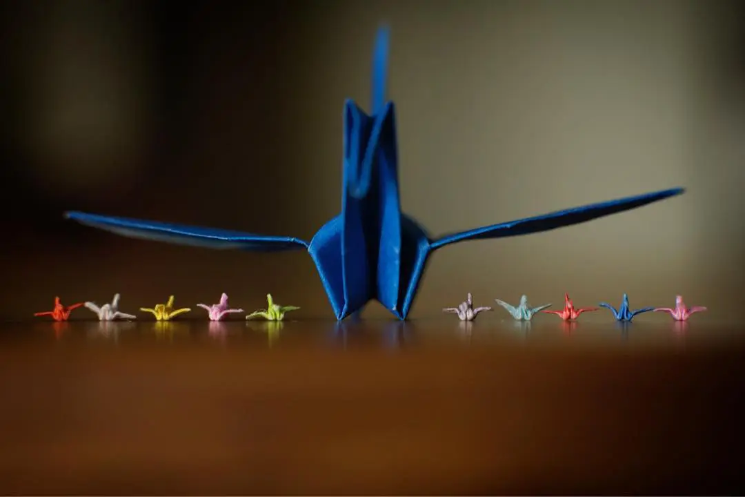 Micro origami oriduru 01