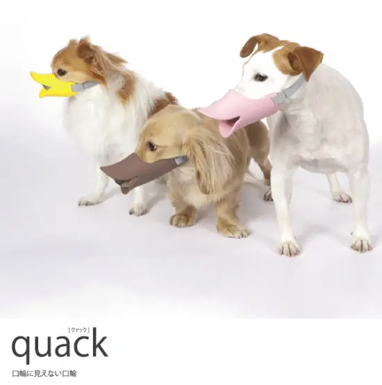 Quack dogs kutiwa